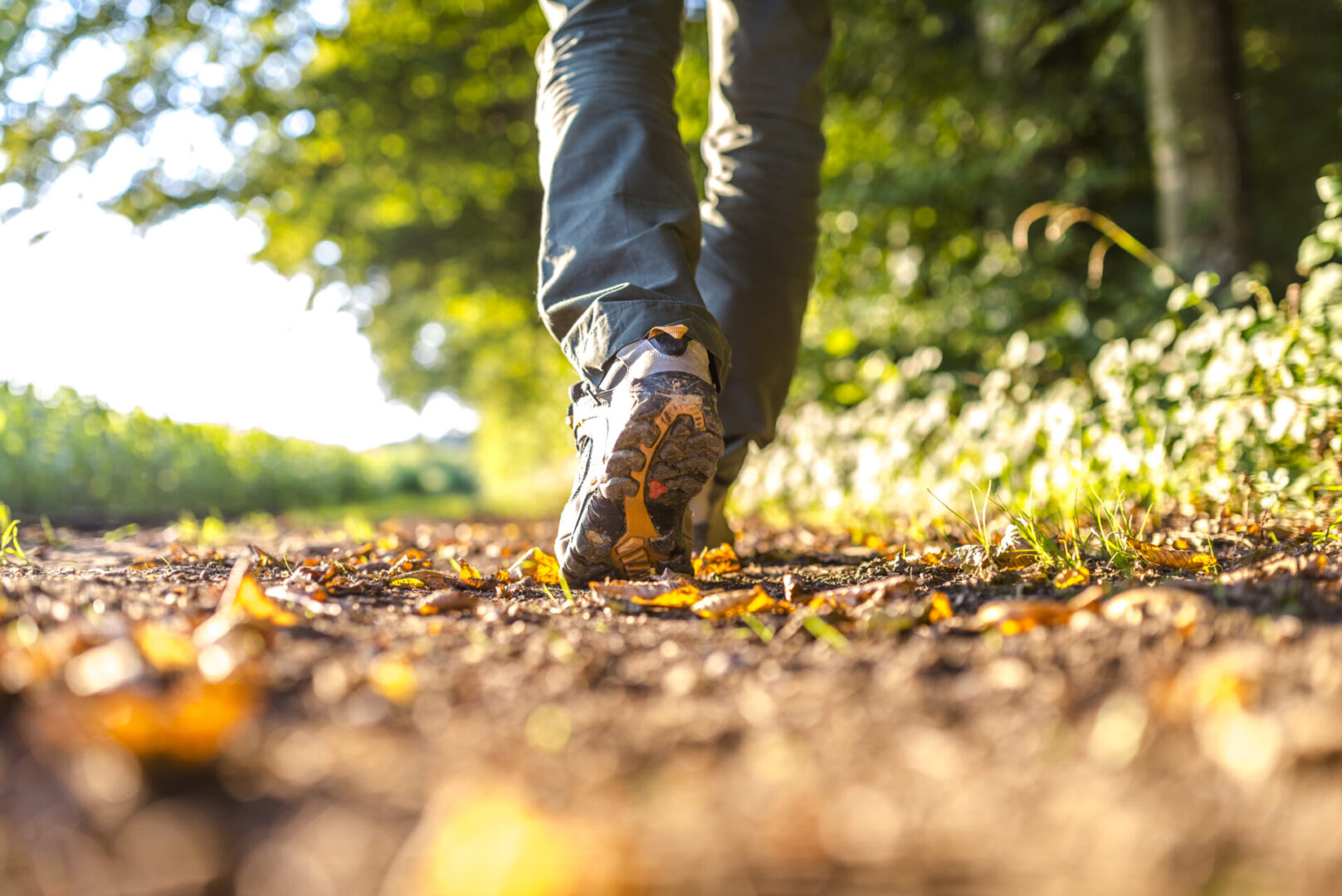 A person walking on the ground with leaves